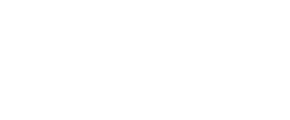 bally's black hawk logo